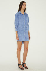 Dahlia Row Shirt Dress by Ruby Sees All - Picpoket