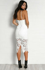 Limelight Lace Dress by Madison Square - Picpoket